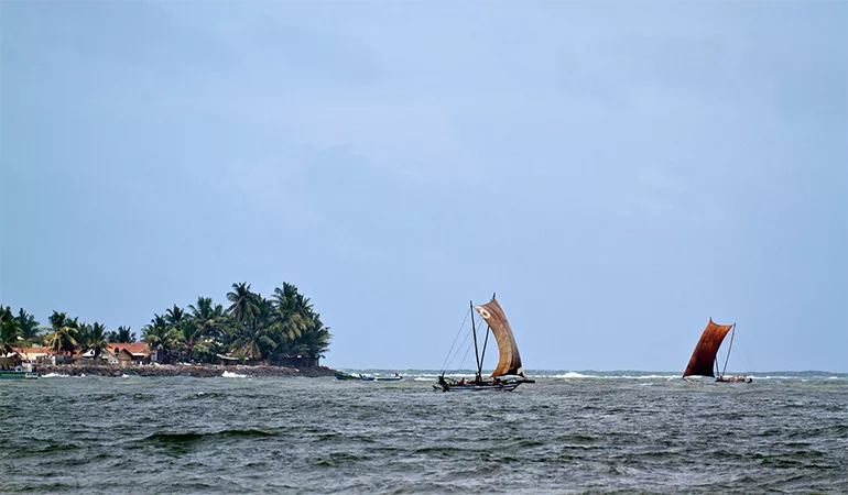 blog-image